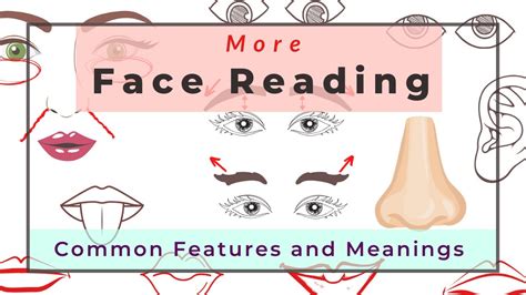 12 Common Face Features And Meanings From Chinese Face Reading Youtube