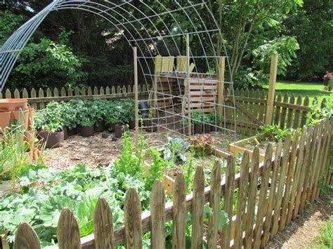 The Modern Homestead Garden Gardening Homestead Self Sufficient