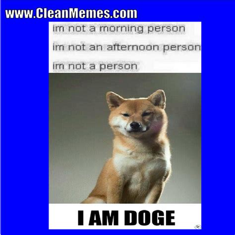 Funny Animals Memes Clean