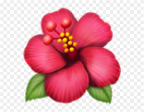 Ios Flower Emoji Png Best Flower Site