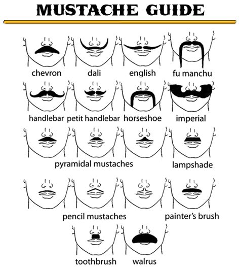 Mustache Styles Chart