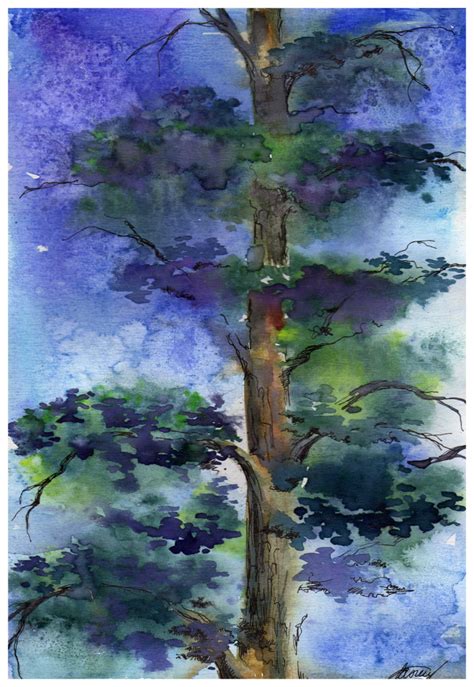 Pine Tree In Watercolours Watercolor Trees Watercolor Art