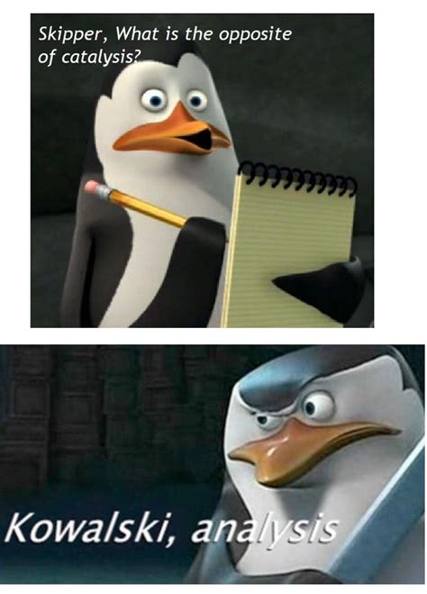 invest in kowalski while there is still time r memeeconomy