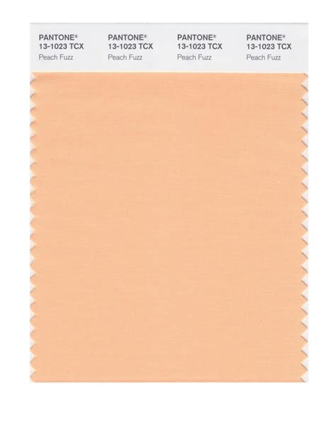 Peach Fuzz Is The Pantone Color Of The Year Los Angeles Times