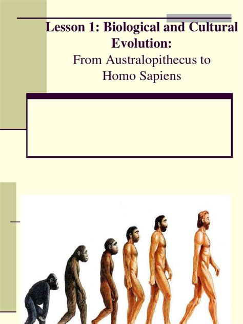 Biological And Cultural Evolution Pdf Homo Pliocene