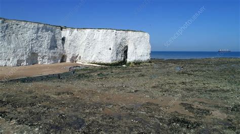 Eroded Chalk Cliffs Stock Video Clip K0085046 Science Photo Library