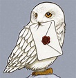 Harry Potter Hedwig Drawing at GetDrawings | Free download