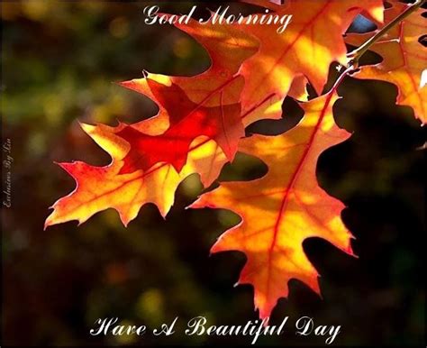 Good Morning Have A Beautiful Day Autumn Quote Pictures
