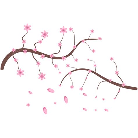 Diseño De Flor De Cerezo Con Flores Caídas Vector Png Flores De Cerezo Sakura Estilo Png Y
