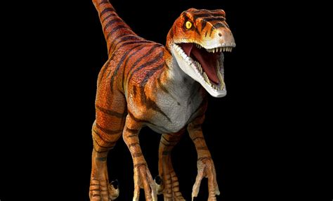 Raptors Jurassic Park The Lost World 2 By Wolfhooligans On Deviantart