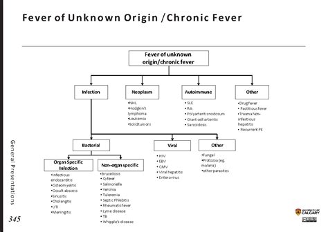 Fever Of Unknown Origin Chronic Fever Blackbook Blackbook
