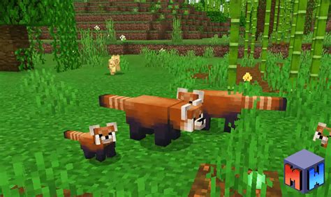Red Panda Add On Bedrock Minecraft Mod