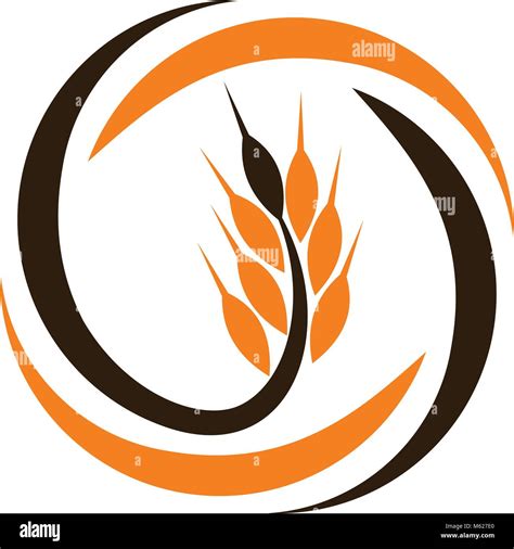Harvest Logo Design Template Vector Stock Vector Image And Art Alamy