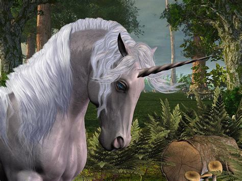 Magic Forest Magic Forest Unicorn Illustration Unicorn Painting