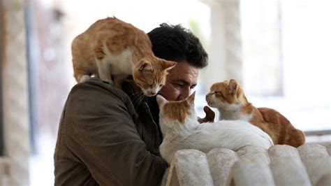In War Torn Syria Cat Man Starts Rare Animal Clinic