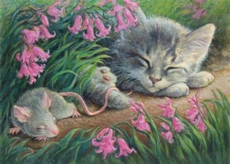 505 Best Images About Cat ~ And ~ Mouse On Pinterest