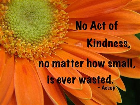 No Act Of Kindness Quote Picture