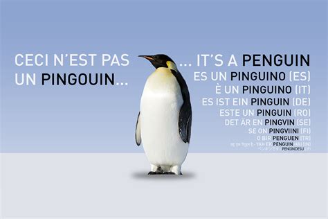 Étrangeté zoo-linguistique, une histoire de pingouin - Nicolas Alfonsi blog
