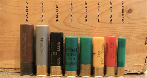 12 Gauge Shotgun Shot Size Chart