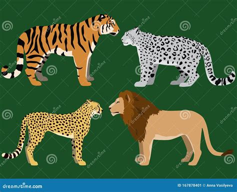 Lion Tiger Leopard Cheetah
