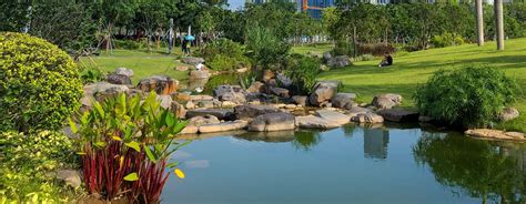 23 Great Landscaping Rocks Ideas and Rock Types Explained