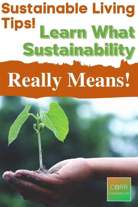 What Is Sustainability What It Really Means Corr Concepts