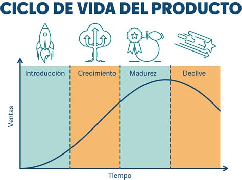 Ciclo De Vida De Un Producto Definicion Y Etapas Images Sexiz Pix