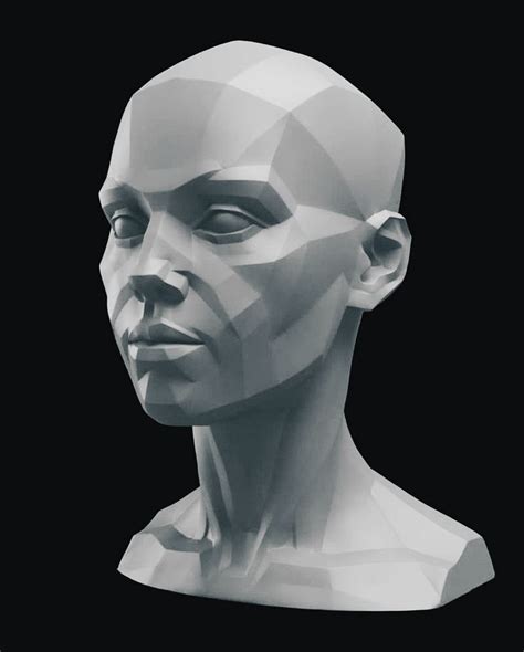 Head Anatomy Human Anatomy Drawing Face Drawing Anatomy Sculpture