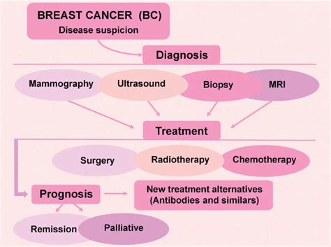 Overview Of Locally Advanced Breast Cancer A Huge Challenge To Science