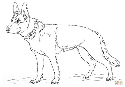 Like many other breeds, german shepherd dogs come in a wide variety of coats and colors. German Shepherd Dog coloring page | Free Printable ...