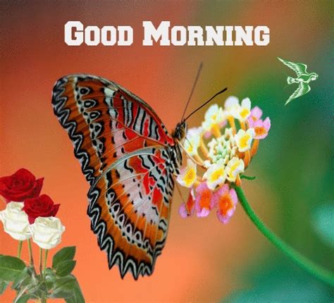 Choose from hundreds of free good morning pictures. Beautiful Morning... Free Good Morning eCards, Greeting Cards | 123 Greetings