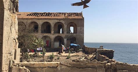 Voyage Au Sénégal Dakar Lîle De Gorée Et Le Lac Rose Le Journal De