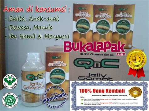 Jual Qnc Jelly Gamat Asli Original Di Lapak Gudang Herbal Bukalapak