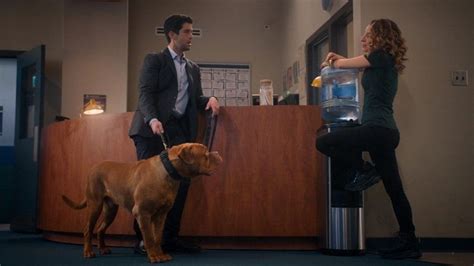 Turner And Hooch Episode 7 Recap To Serve And Pawtect Leisurebyte