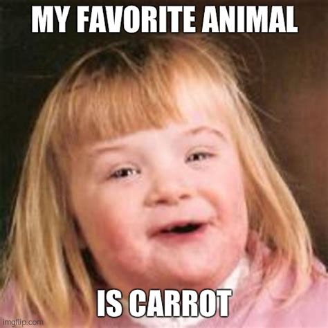 My Favorite Animal Is Carrot Imgflip