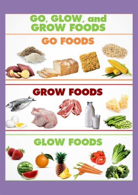 Go Grow Glow Foods Chart Laminated Go Grow Glow Foods