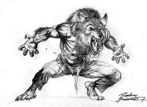 825x967 pencil snarling wolf sketch by suenta deathgod. Werewolves VS Shape Shifters | Factual Fantasy