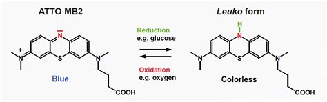 Ac) oder anorganik ist die chemie aller kohlenstofffreien verbindungen sowie einiger ausnahmen (siehe anorganische stoffe). ATTO-TEC GmbH - Redox-Label
