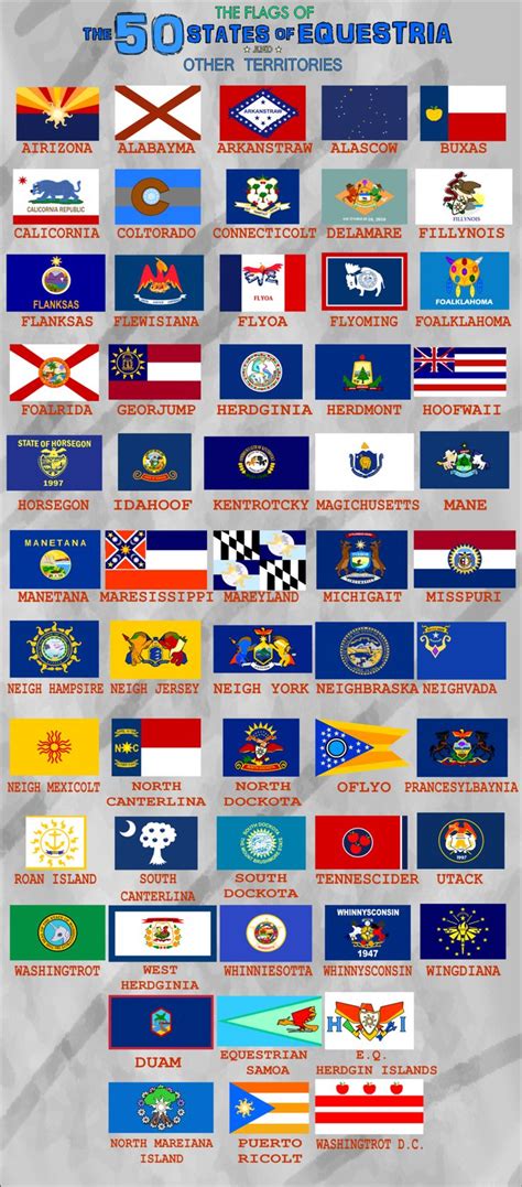 50 State Flags 50 State Flags Infographic Map State Flags Flag