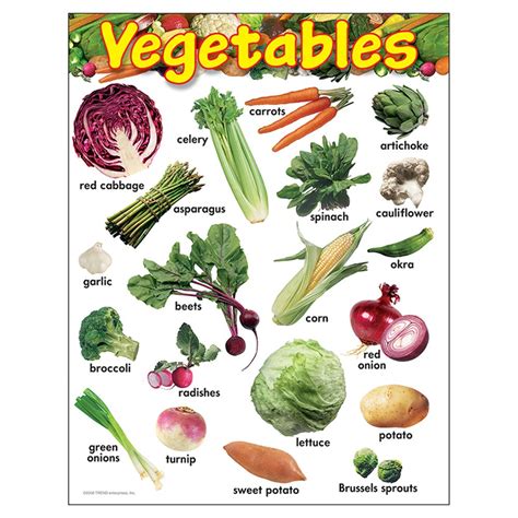 Vegetables Learning Chart 17 X 22 T 38248 Trend Enterprises Inc