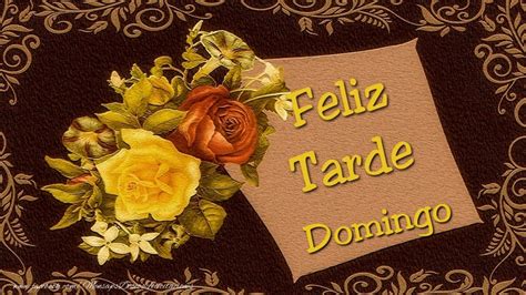 Feliz Tardes Domingo 🌼 Flores Felicitaciones De Buenas Tardes Para