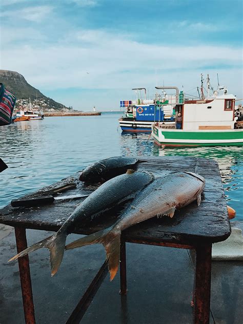 See 5 photos and 2 tips from 64 visitors to seafood bistro. Fish Market Houtbay Pictures : South Africa Western Cape ...