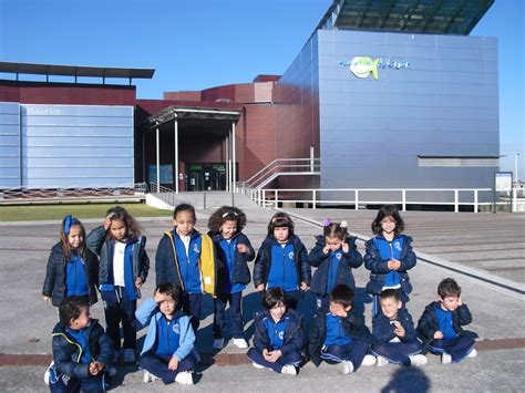 Educación Infantil Psj Visita Al Acuario