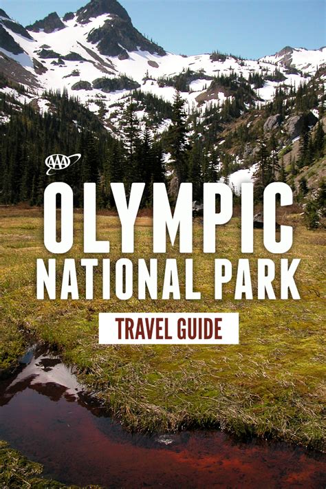 Heres The Ultimate Olympic National Park Travel Guide Learn How To Do