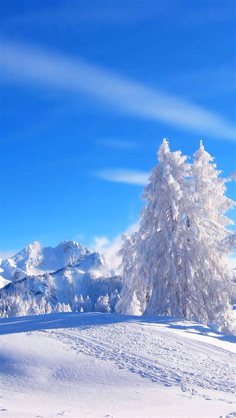 Winter Landscape The Iphone Wallpapers
