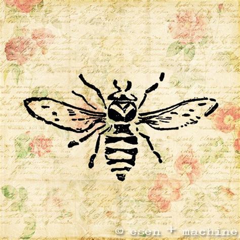 Vintage Bee Art Print Real Vintage Artwork By Esenplusmachine 1100