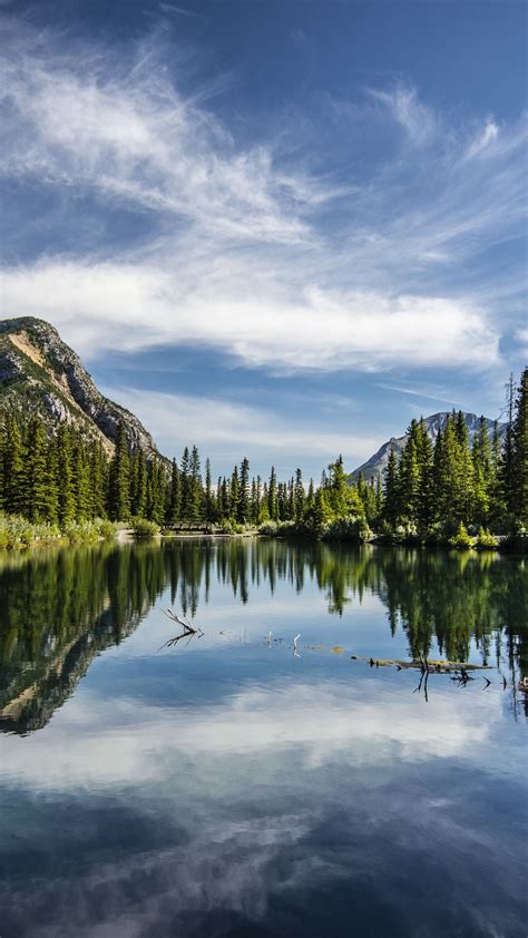 Download Wallpaper 1350x2400 Lake Trees Mountains Reflection Sky