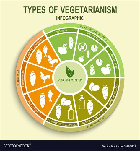 Vegetarian Types Infographic Royalty Free Vector Image