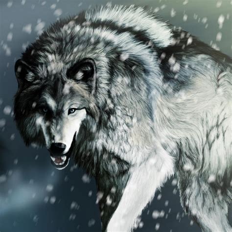 10 New Cool Wolf Desktop Backgrounds Full Hd 1080p For Pc