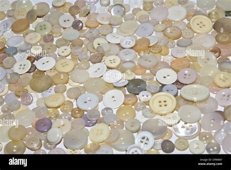 Light Color Sewing Buttons Stock Photo Alamy